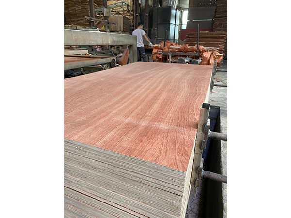 Furniture plywood (calibrated) 