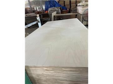 Birch plywood